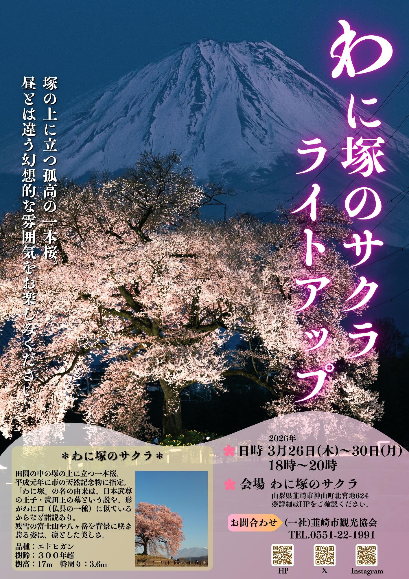 わに塚のサクラライトアップ2026