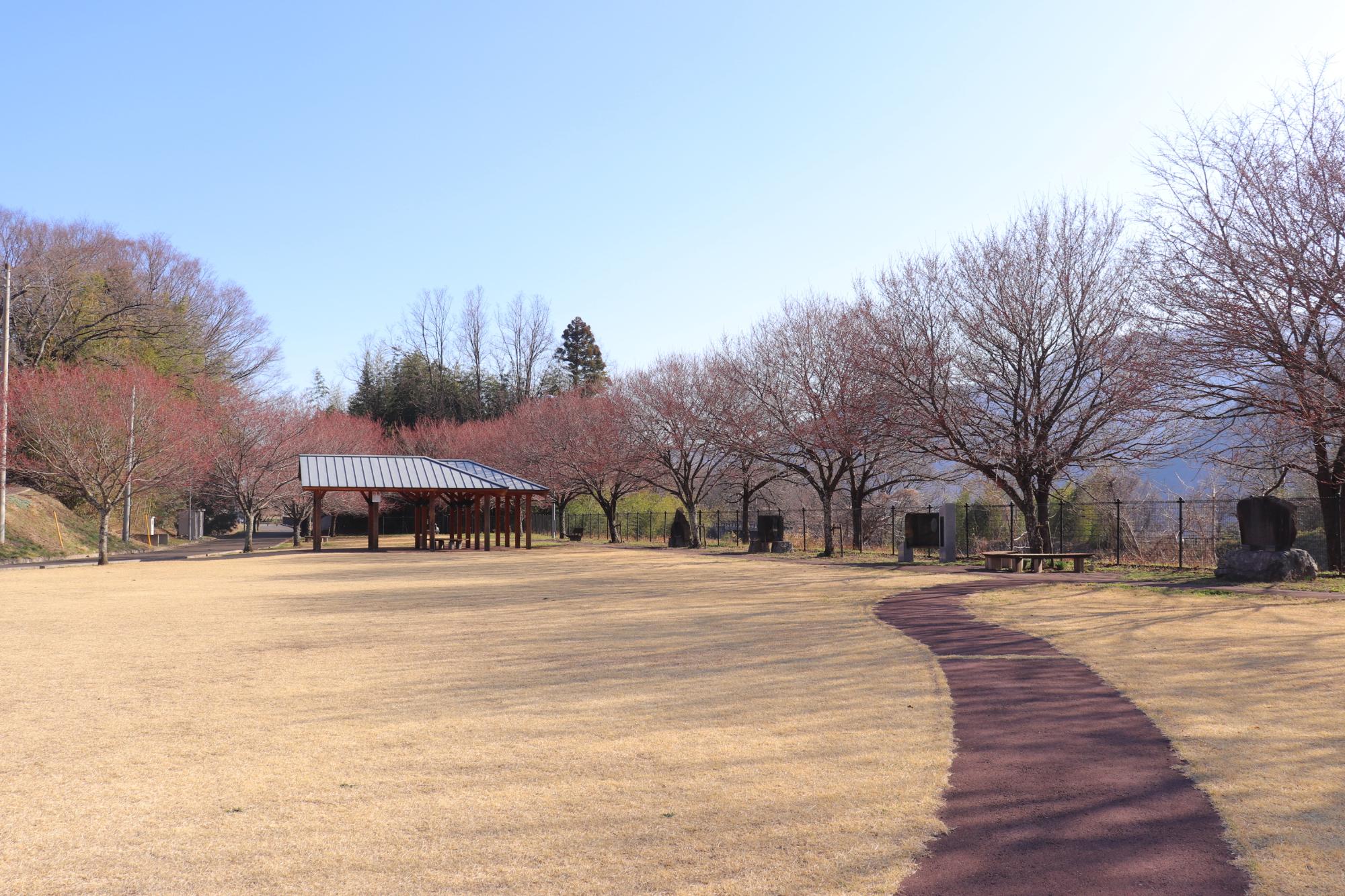 0315穴山さくら公園