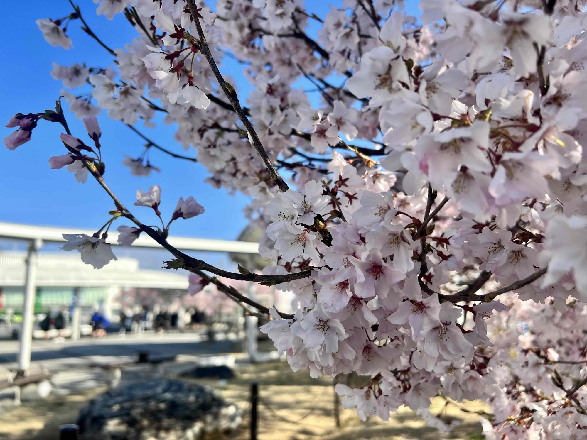 0320韮崎駅