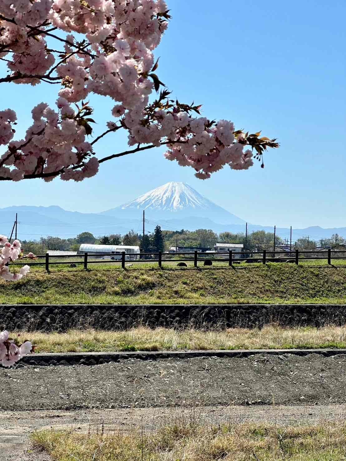 0410幸福の小径