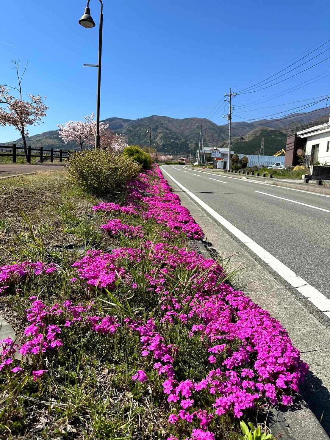 0410幸福の小径