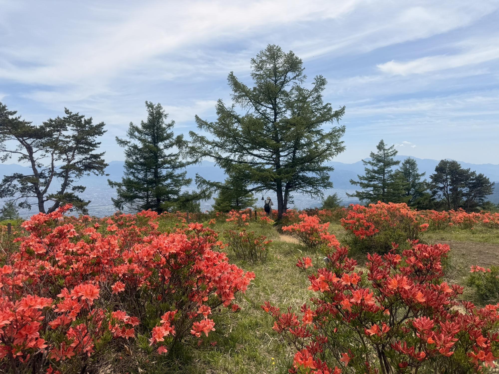 6月1日甘利山鍋頭