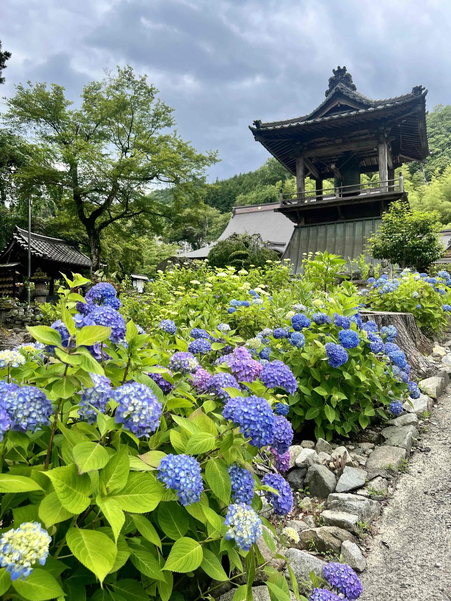 0608大公寺