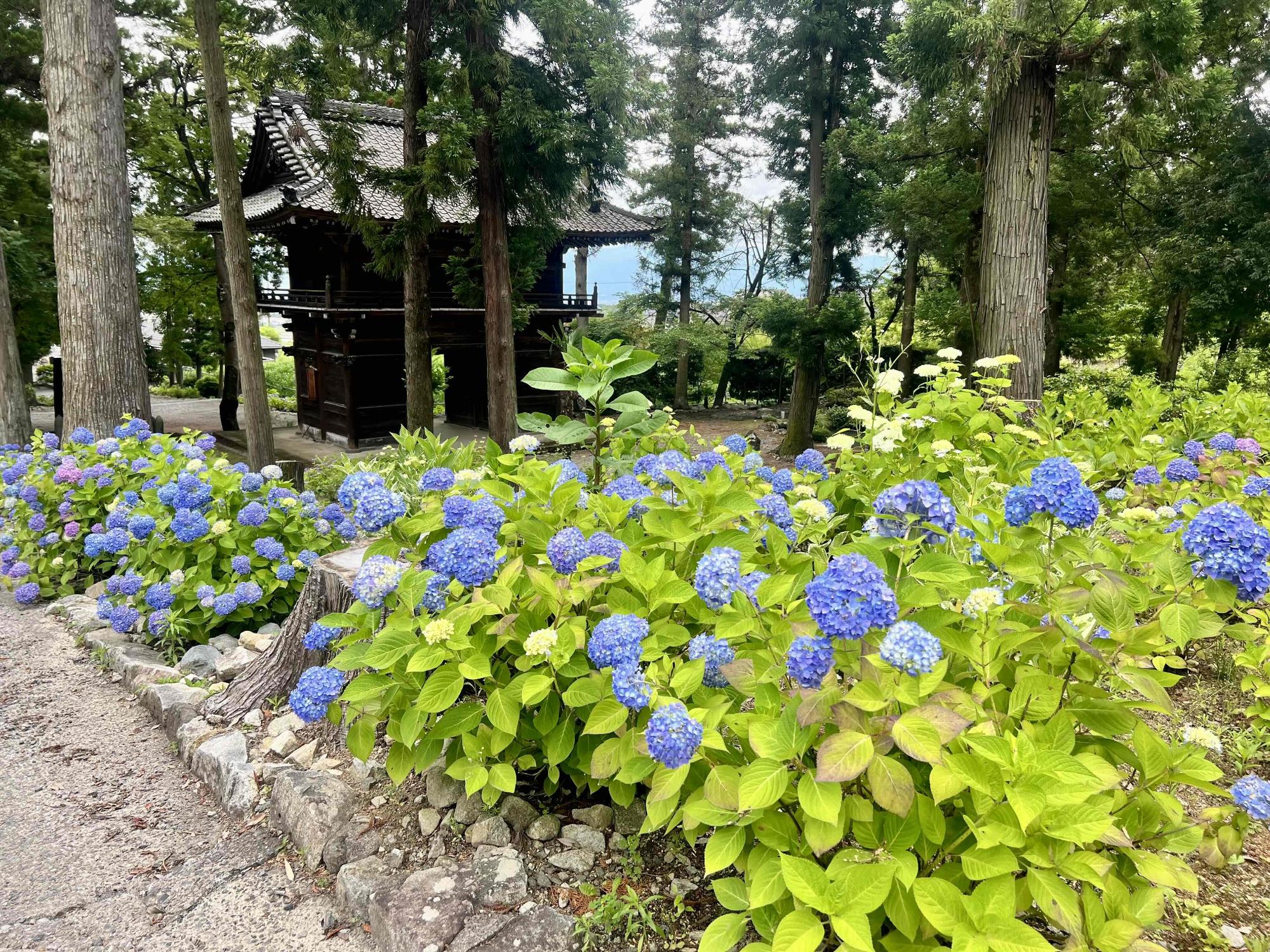 0608大公寺