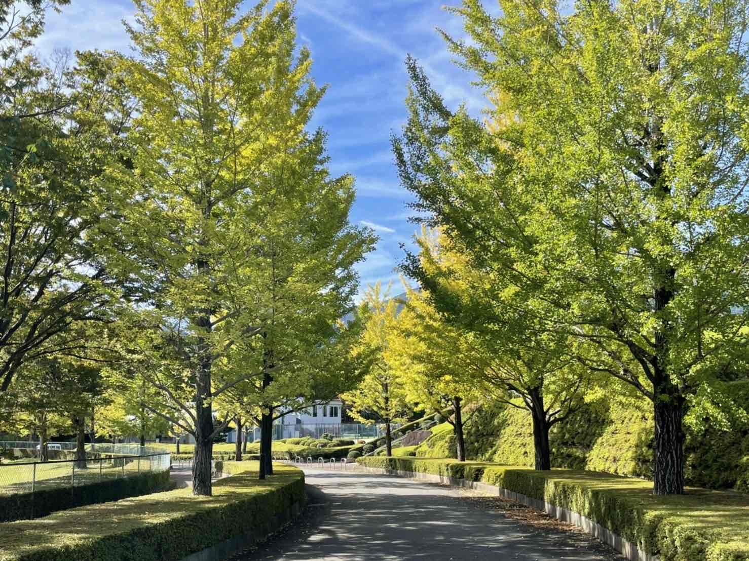 1011韮崎中央公園