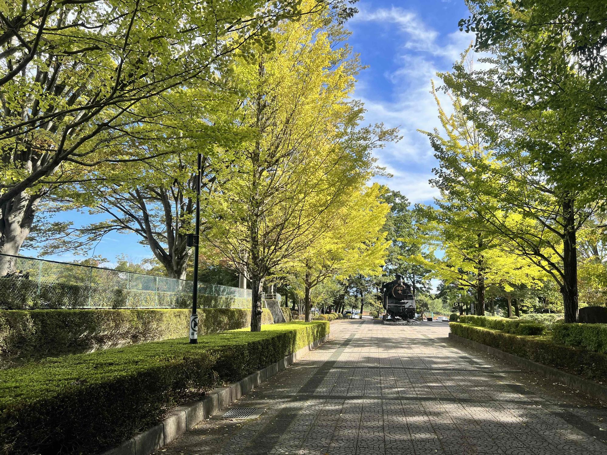 1013韮崎中央公園紅葉