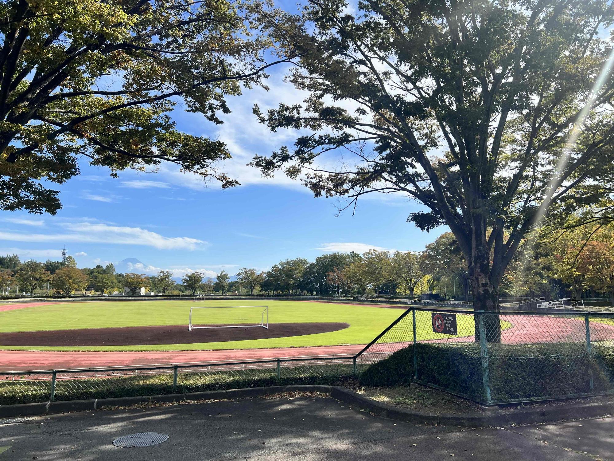 1013韮崎中央公園紅葉