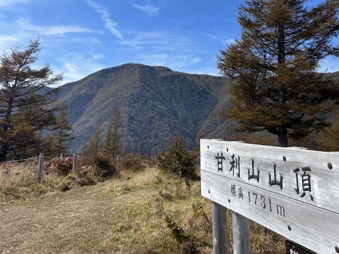 甘利山の紅葉