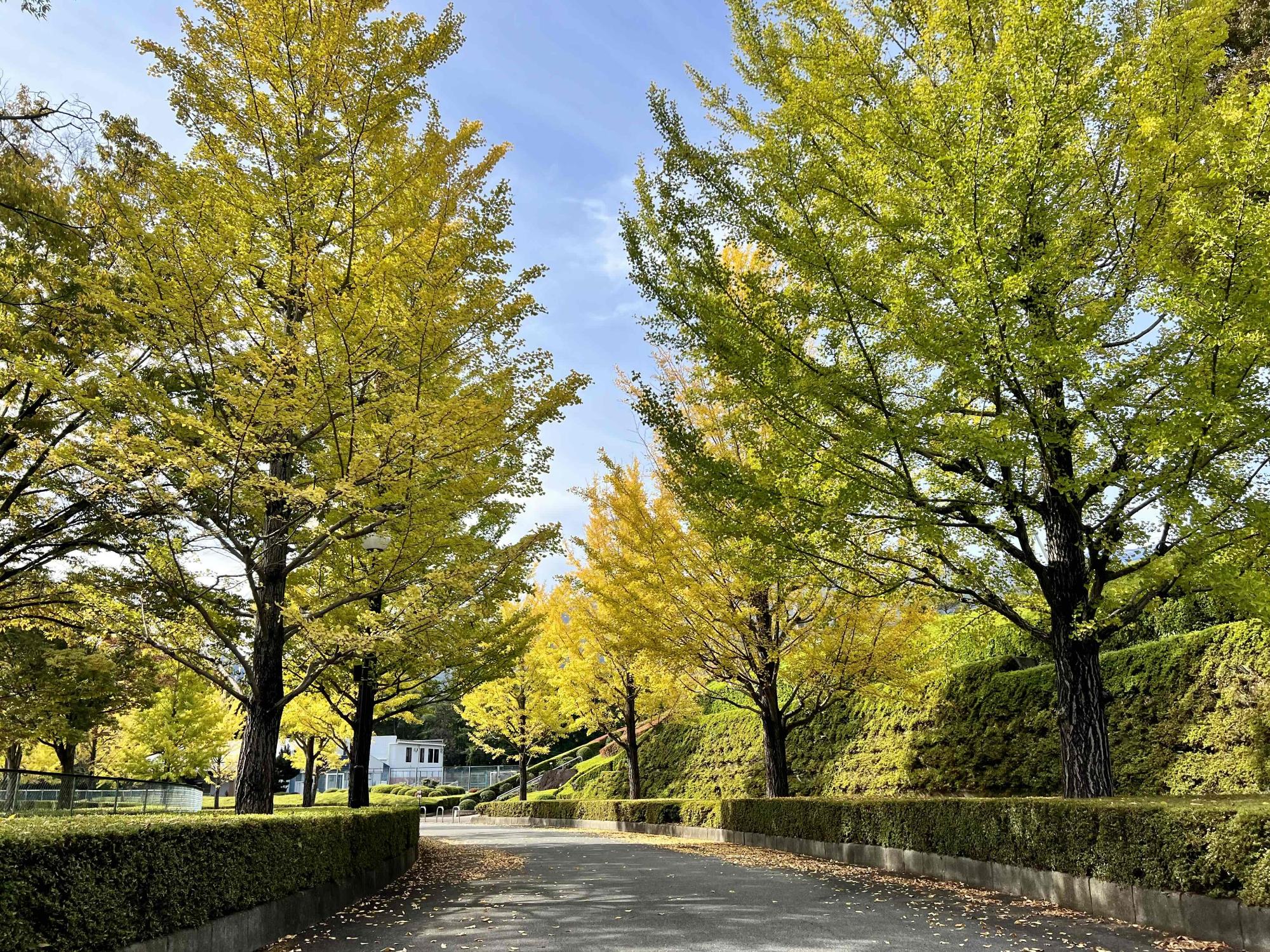 1027韮崎中央公園