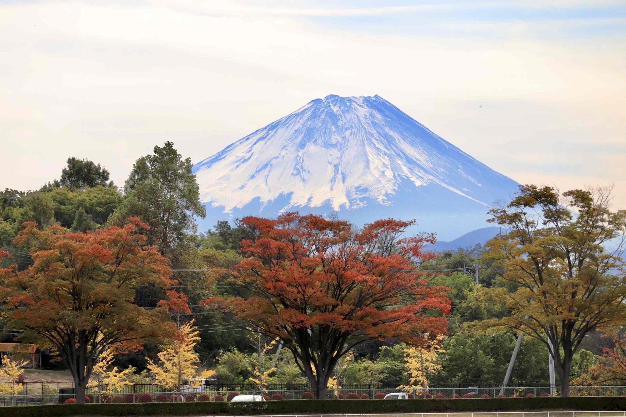 1027韮崎中央公園