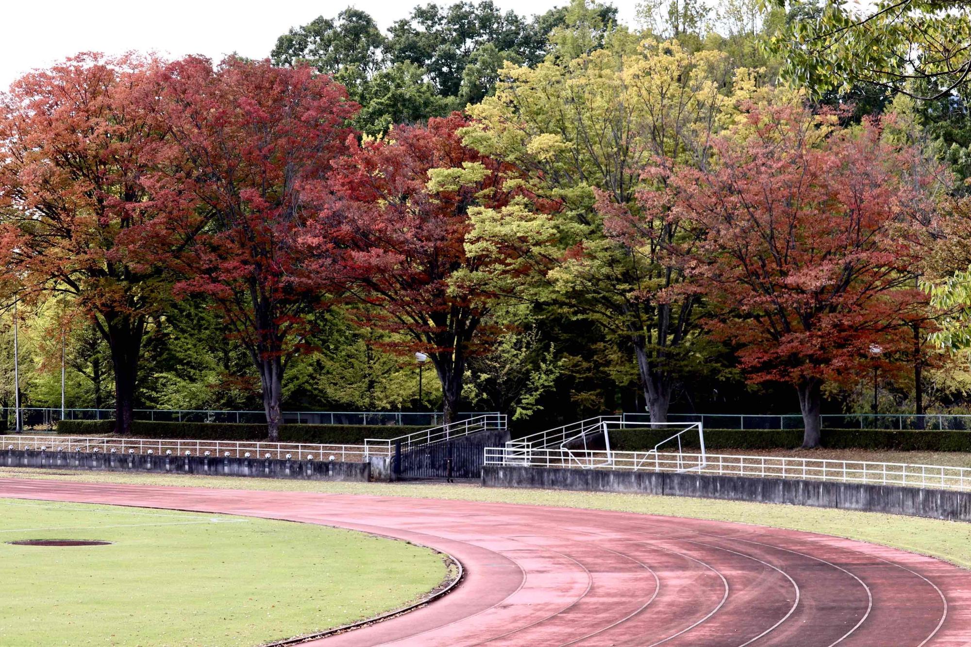 1027韮崎中央公園