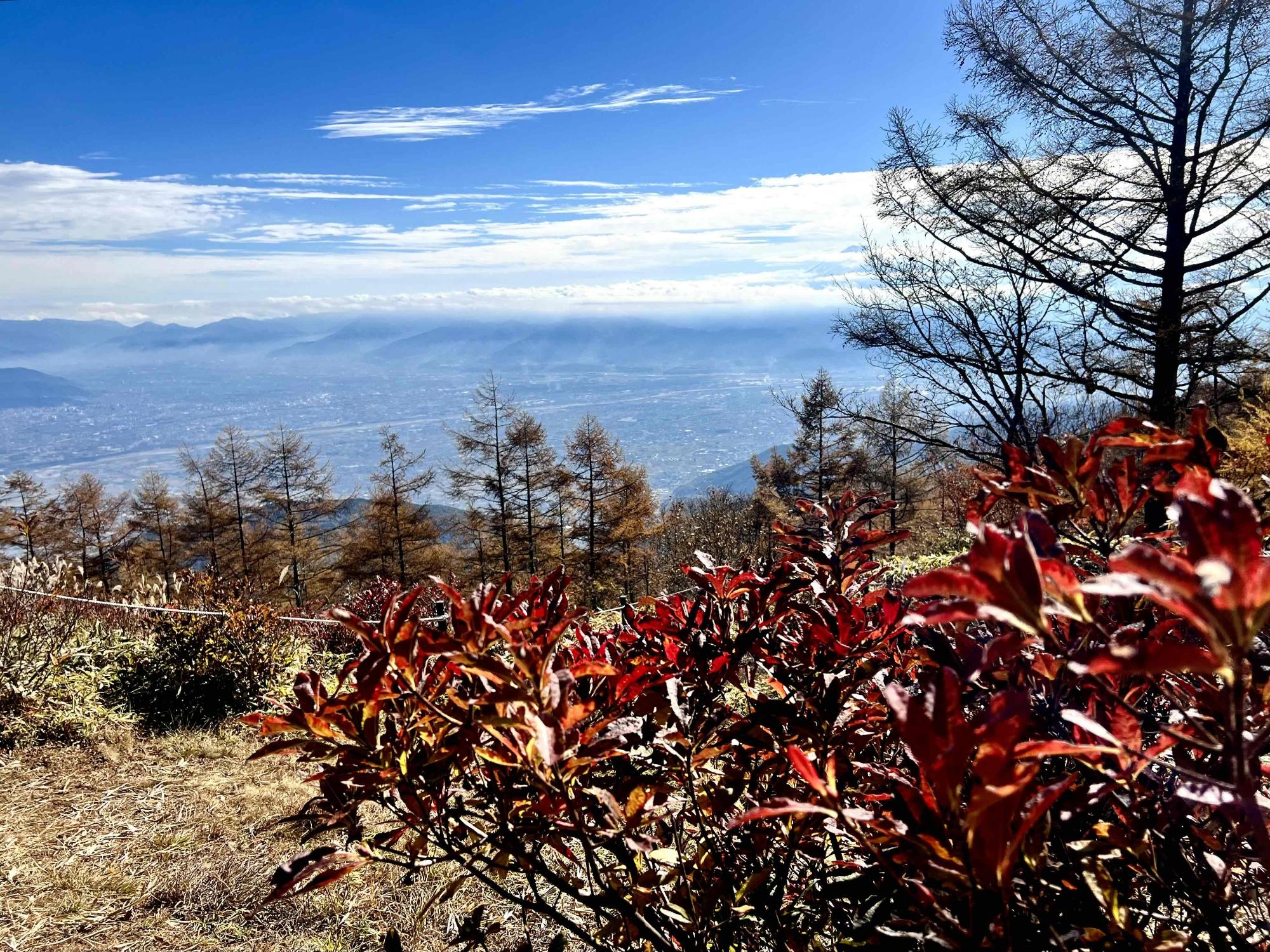 1031さわら池甘利山紅葉