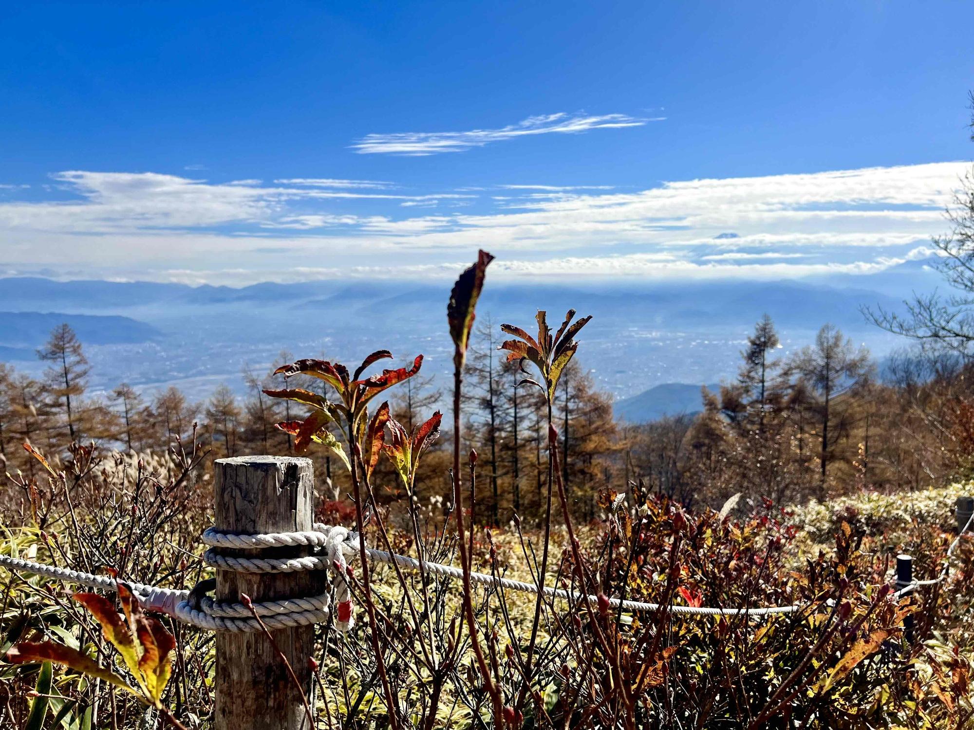 1031さわら池甘利山紅葉