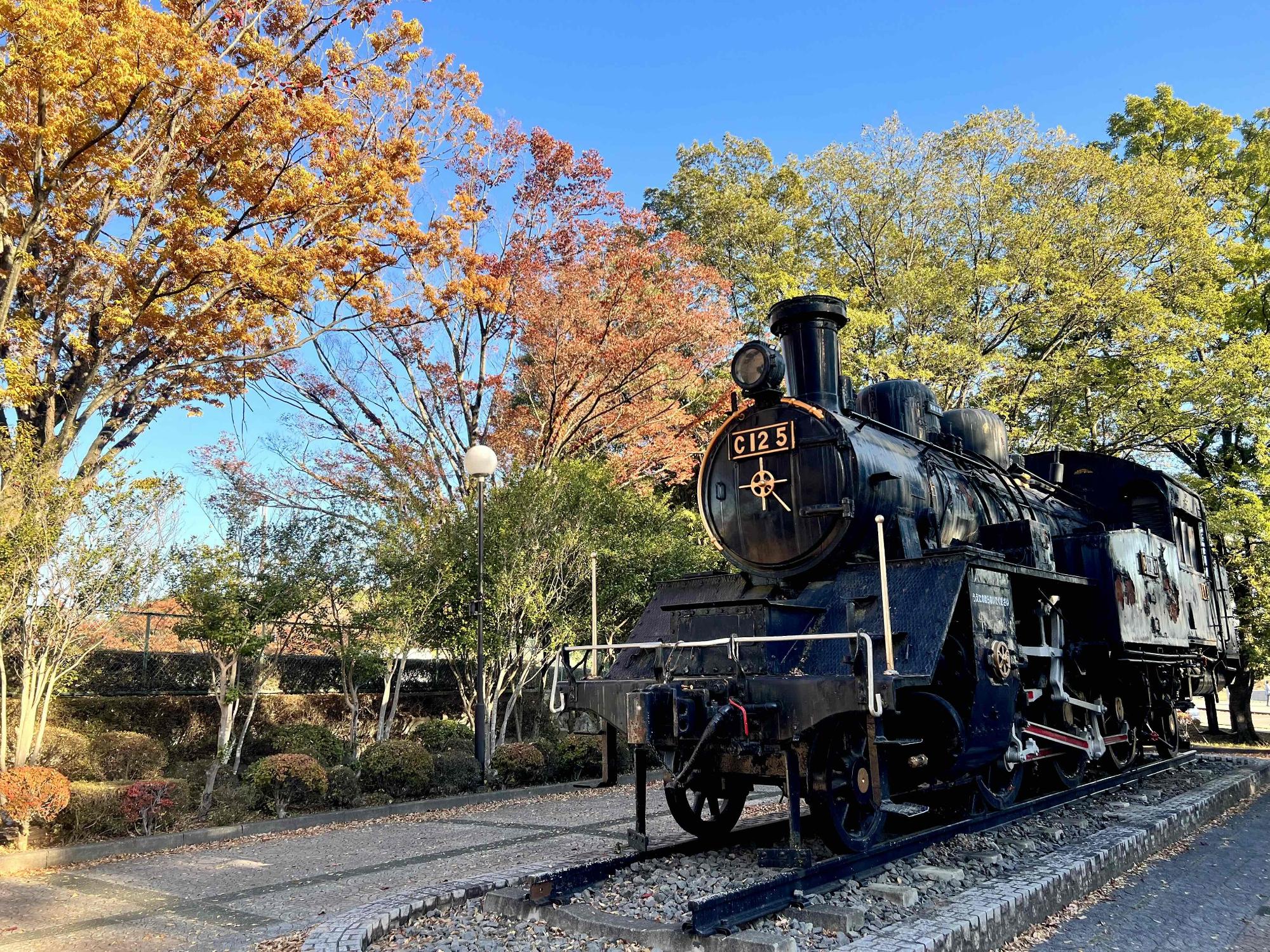 1101韮崎中央公園紅葉