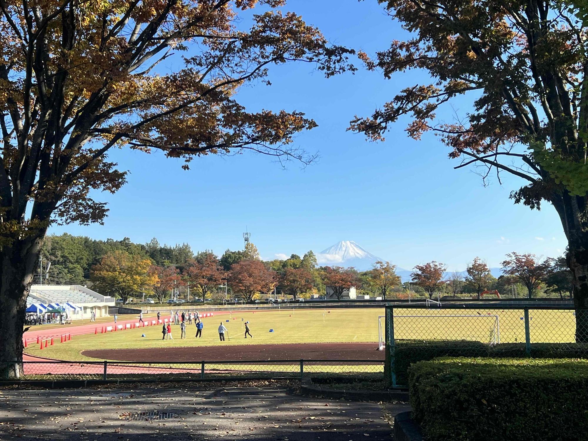 1101韮崎中央公園紅葉