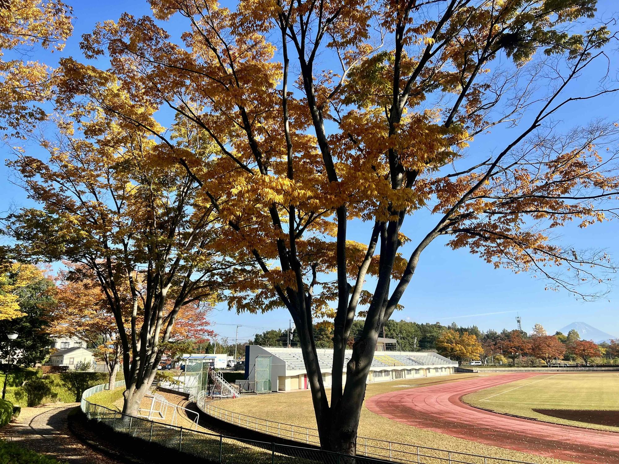 1104韮崎中央公園