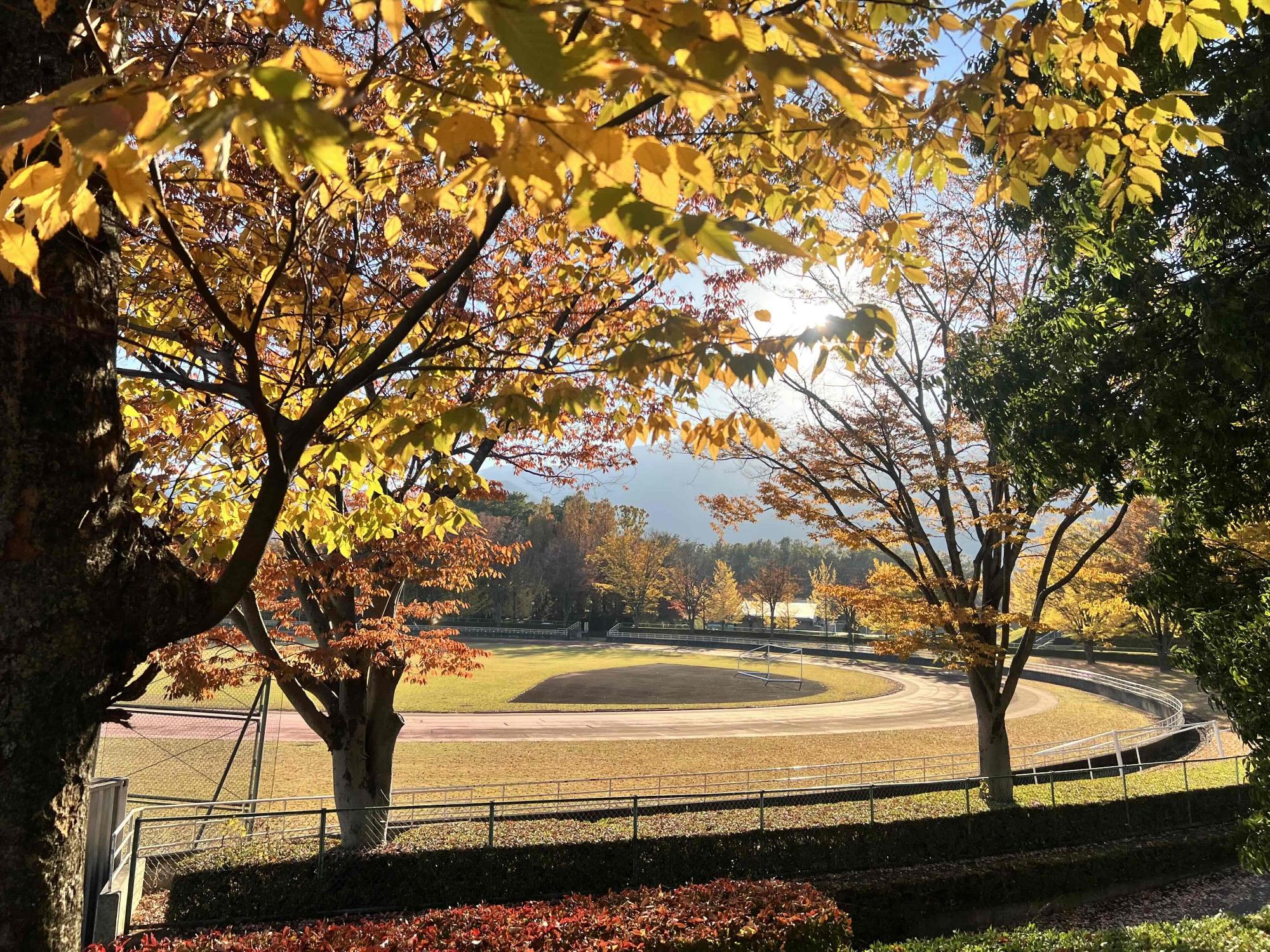 1107韮崎中央公園