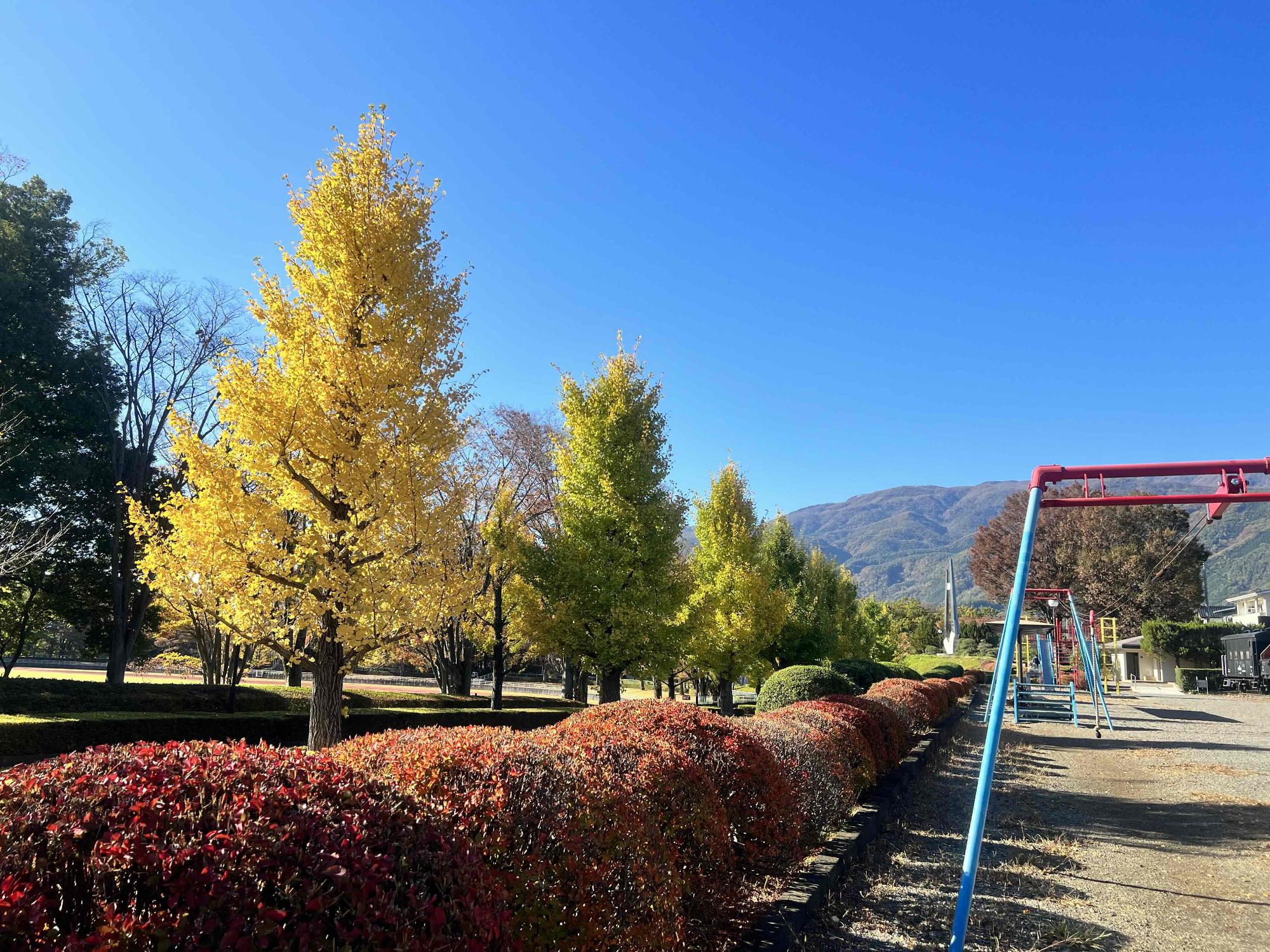 1108韮崎中央公園