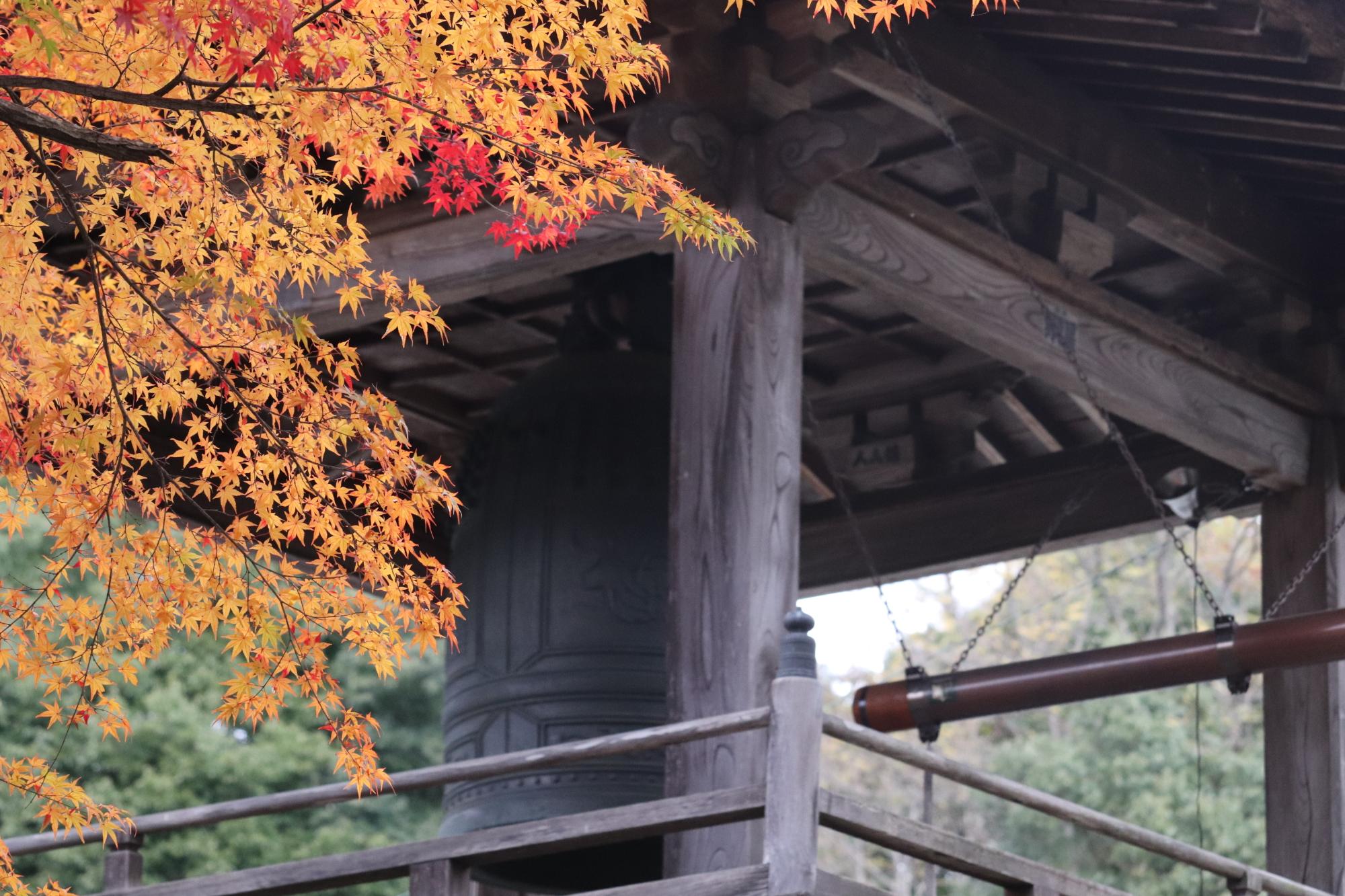 大公寺