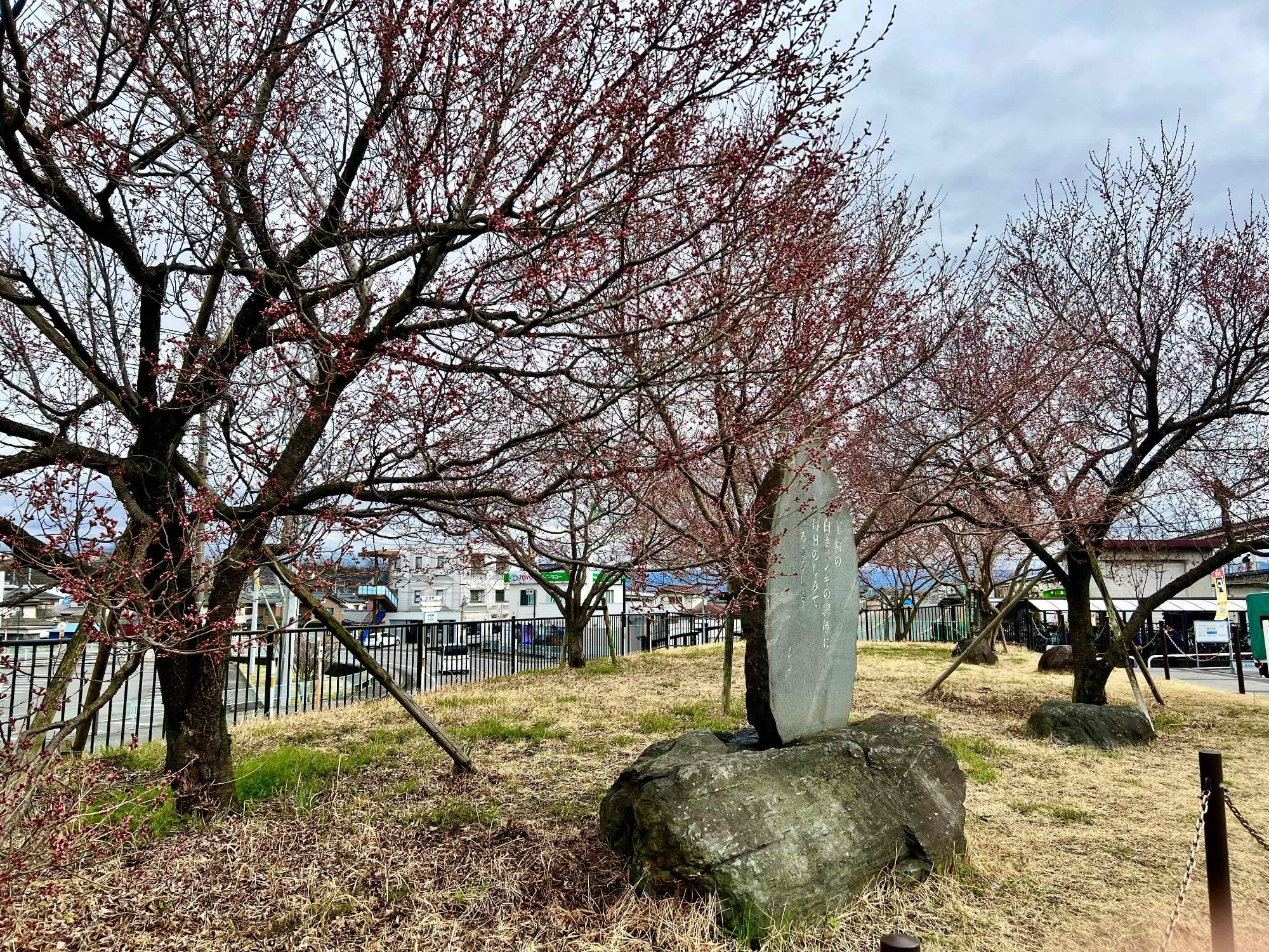 韮崎駅桜20230313