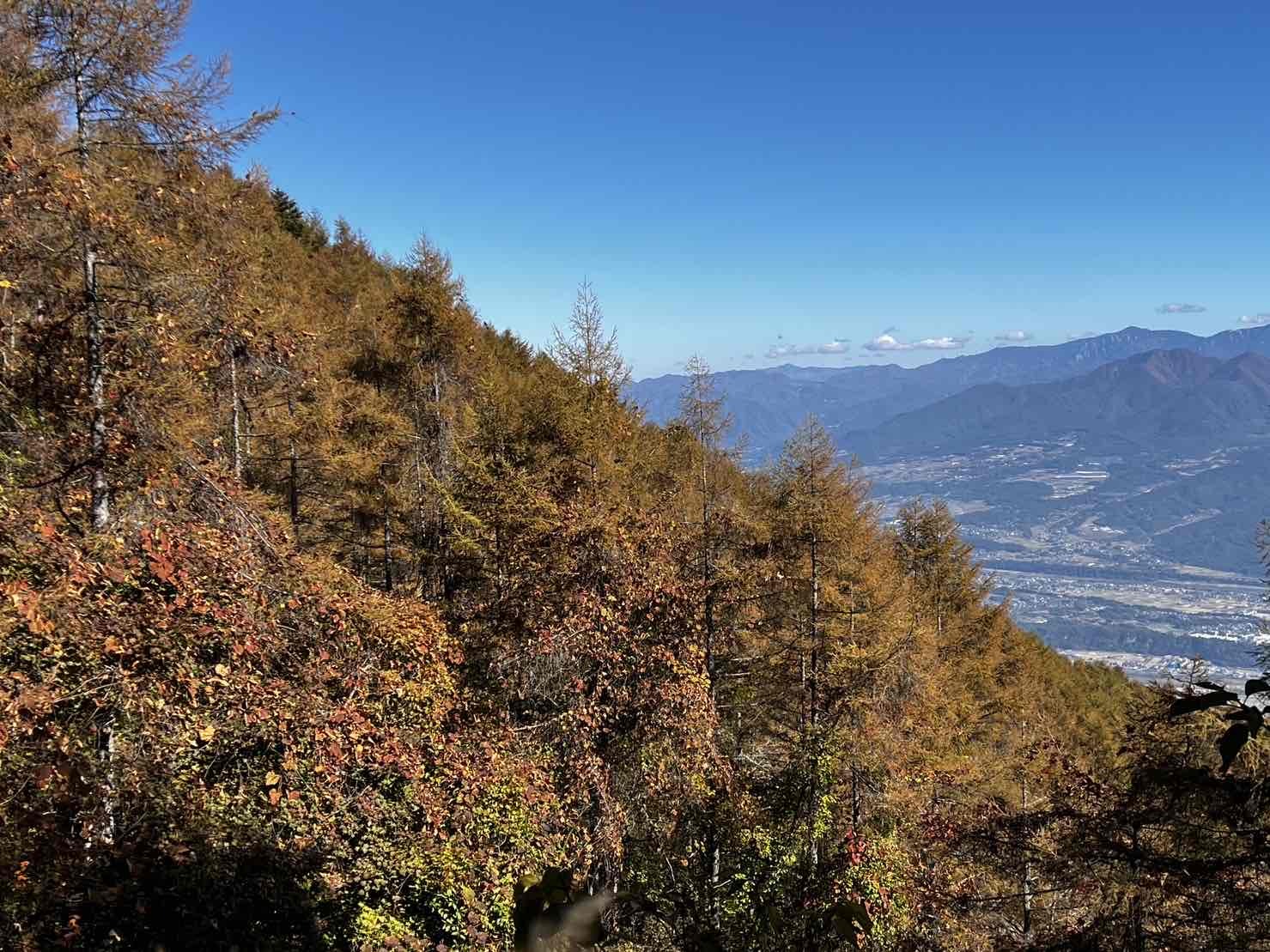 231026甘利山紅葉