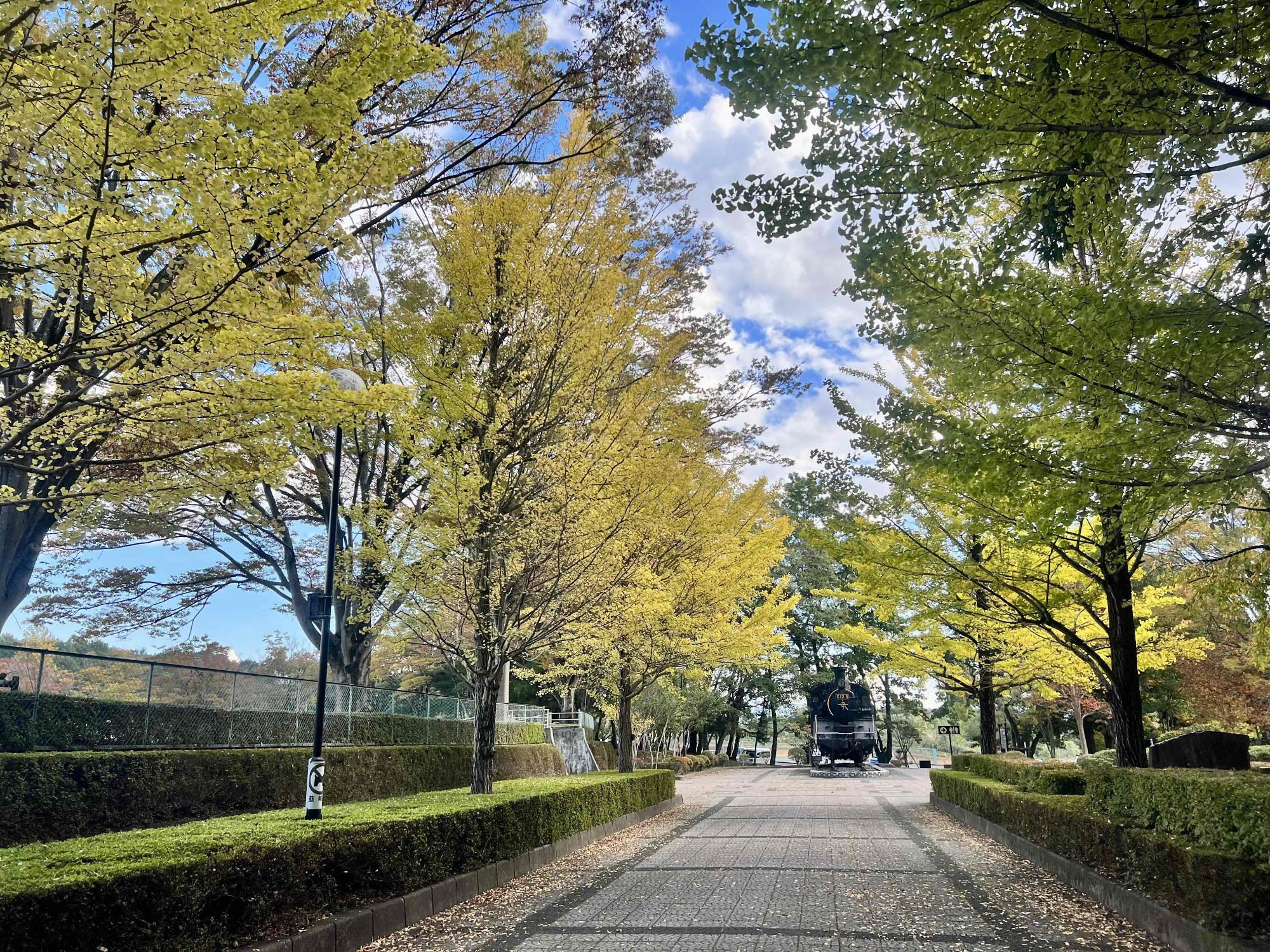 231026韮崎中央公園