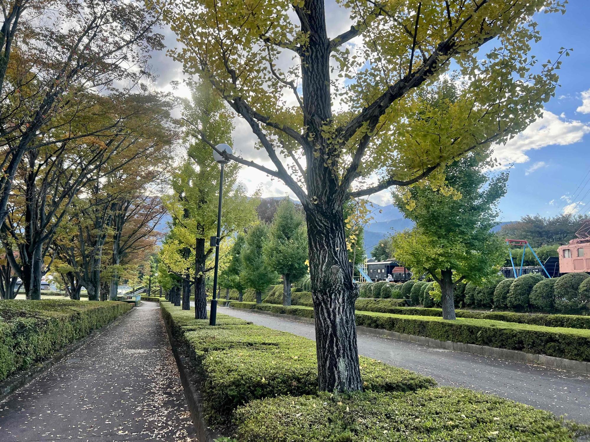 231026韮崎中央公園