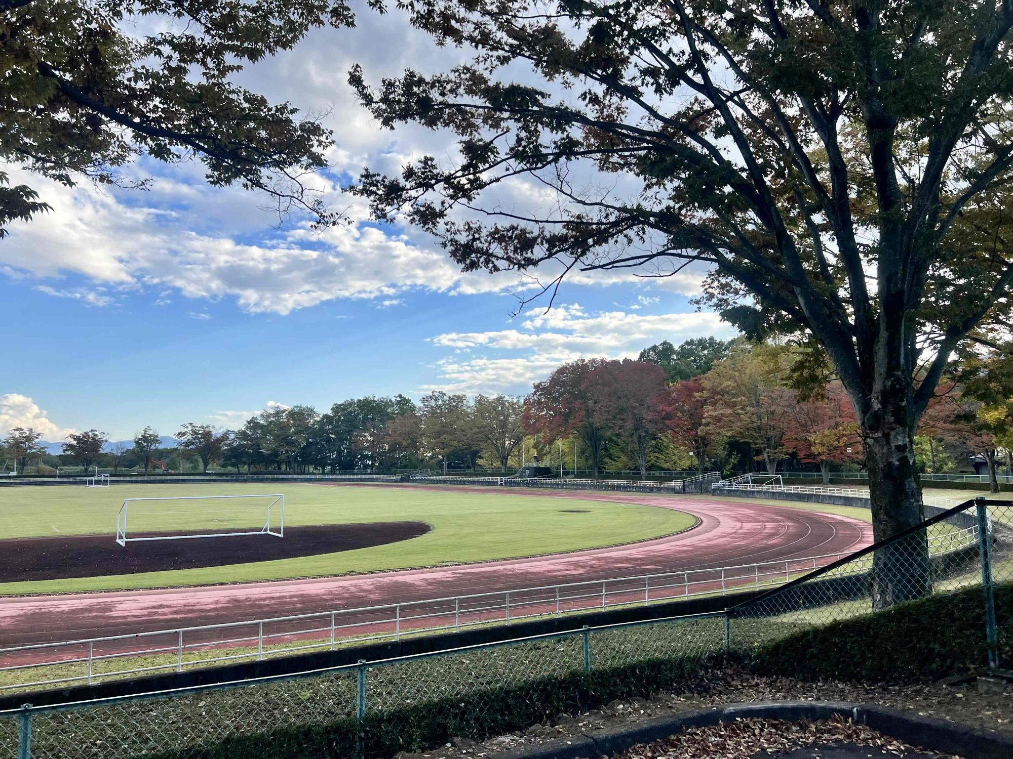 231026韮崎中央公園