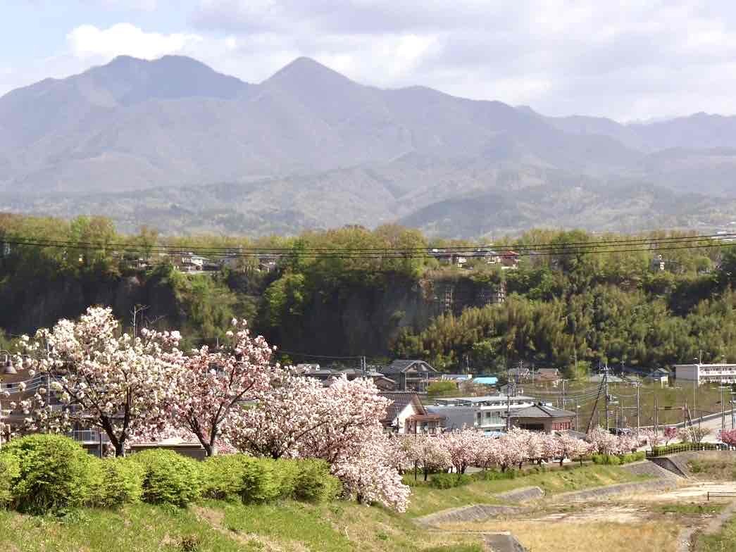 240419幸福の小径