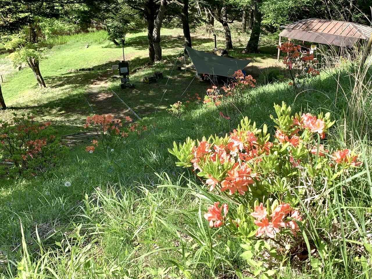 240518さわら池