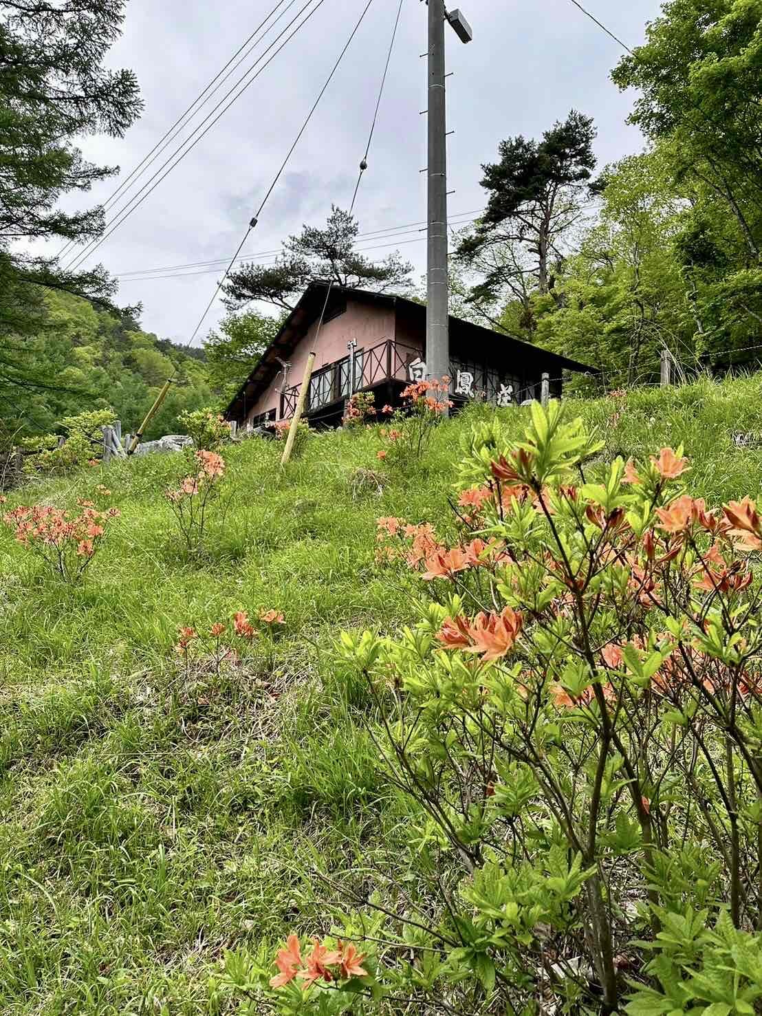 240518さわら池