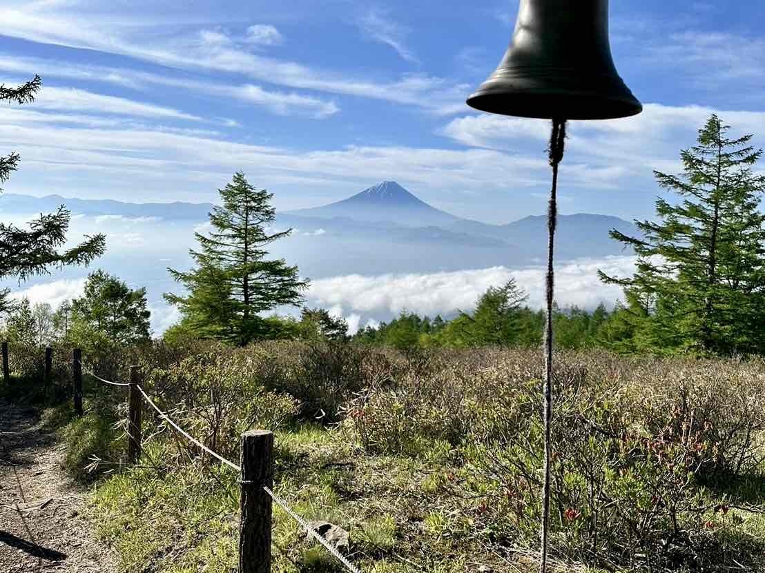 240524甘利山レンゲツツジ