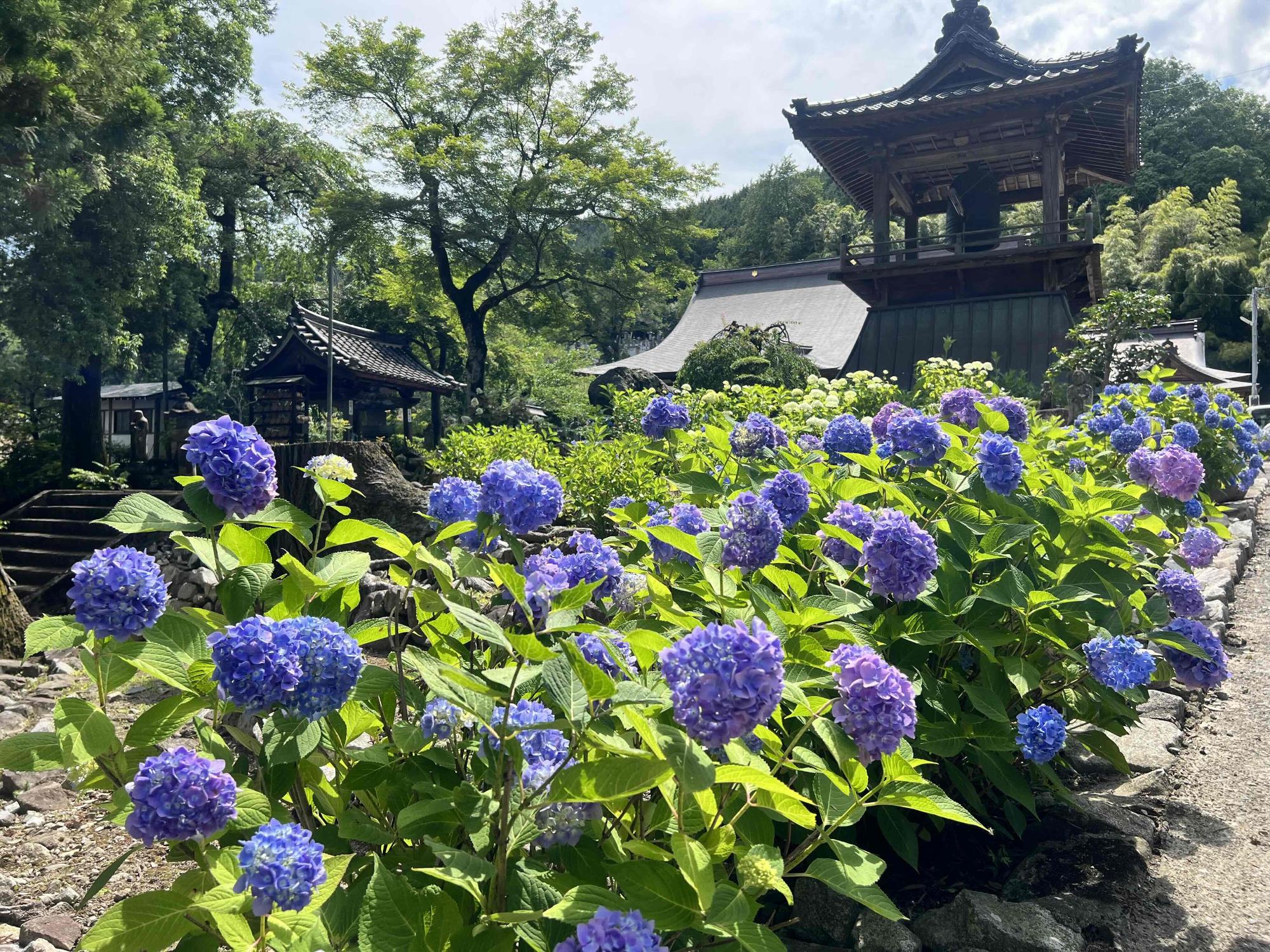 240611大公寺