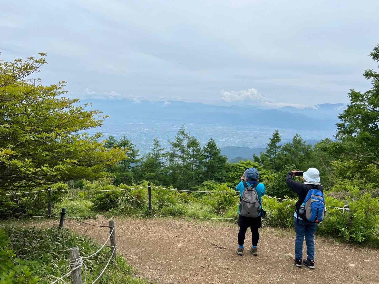 240620甘利山レンゲツツジ