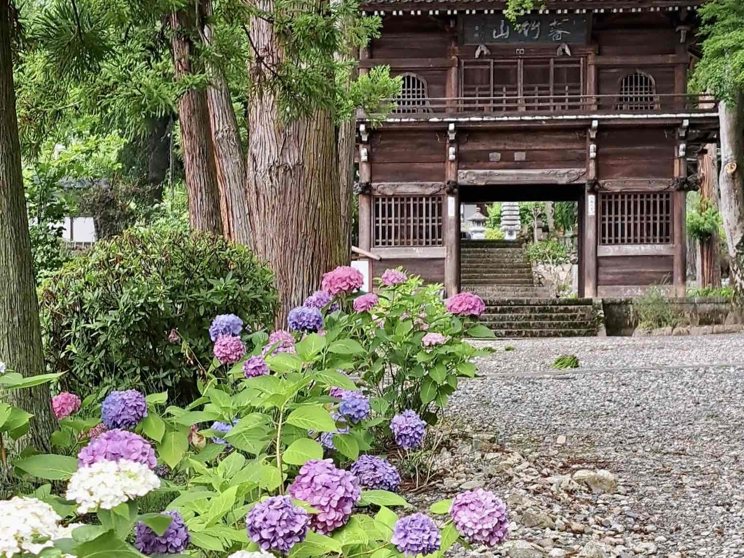 240626大公寺
