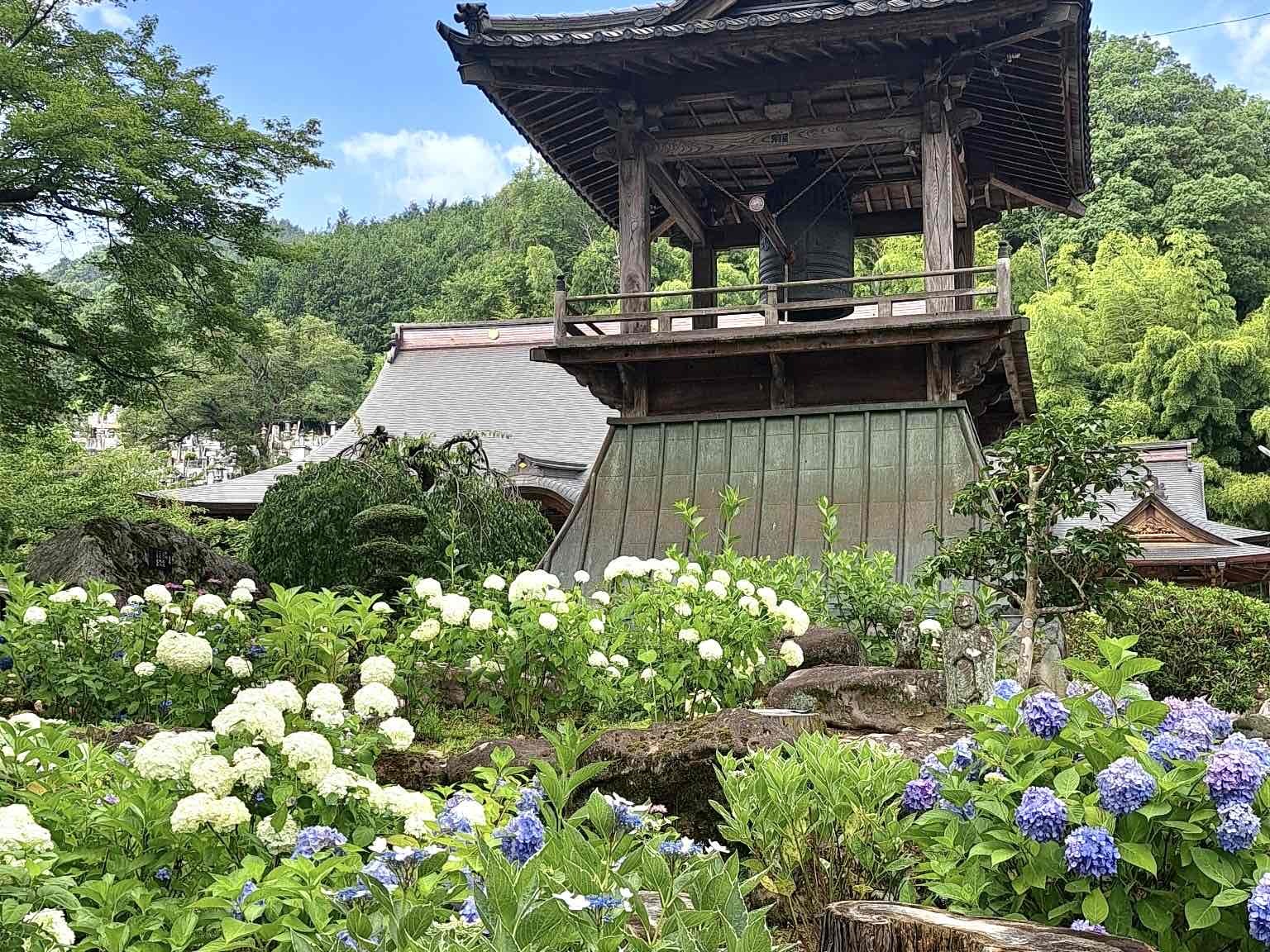 240626大公寺