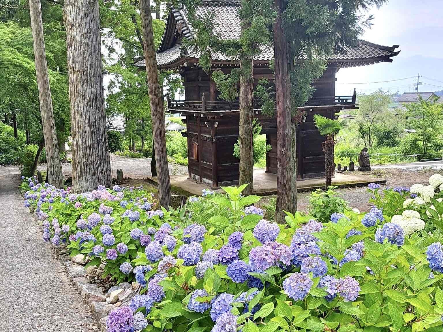 240626大公寺
