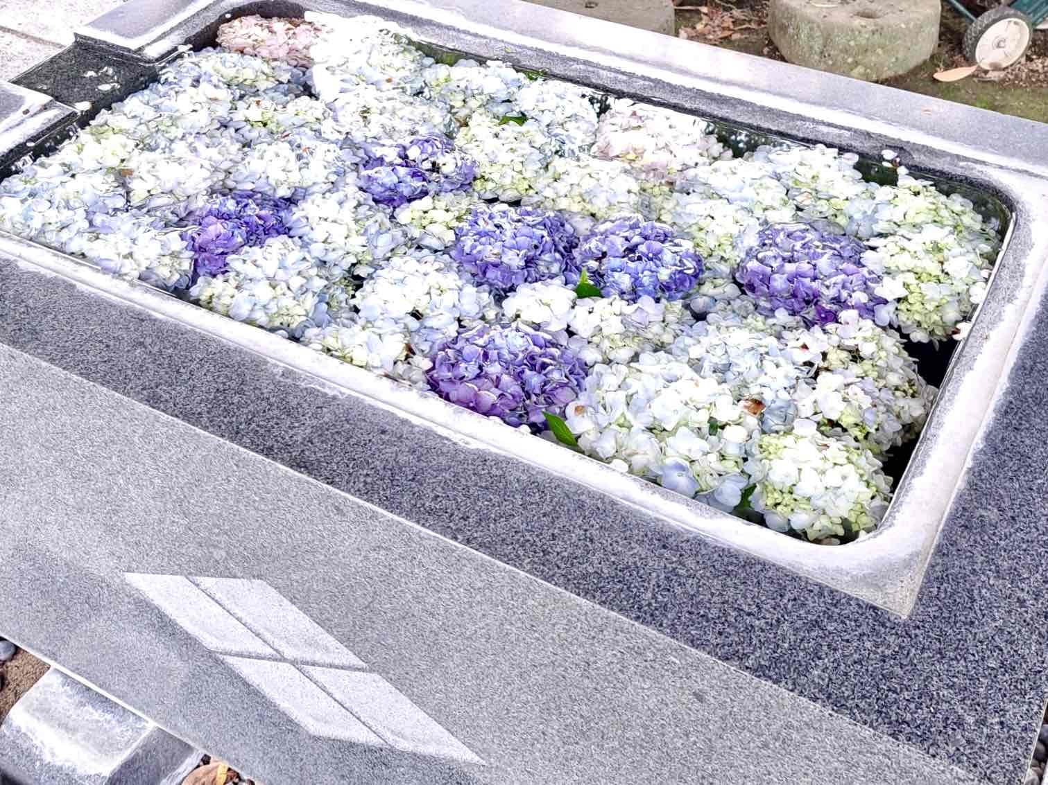 240626大公寺