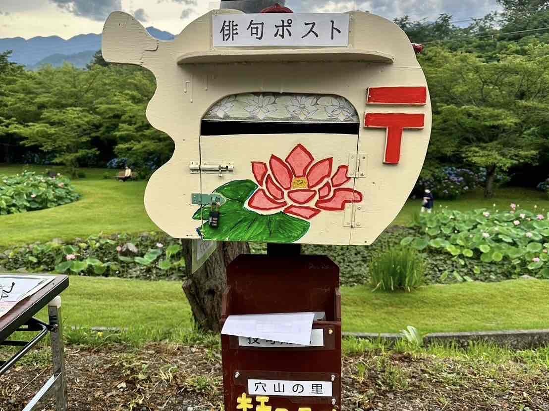 240709大賀ハス