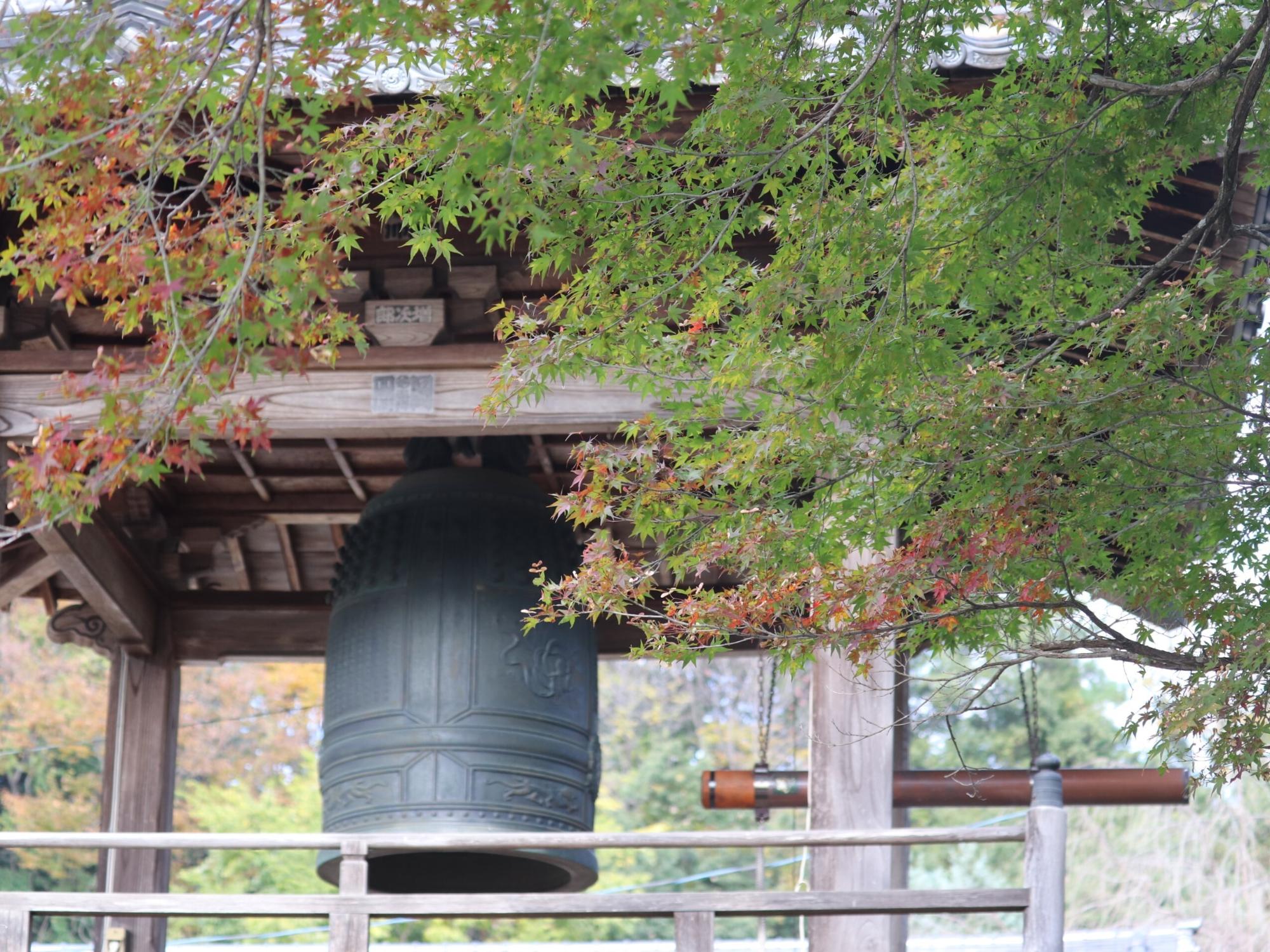 241114大公寺