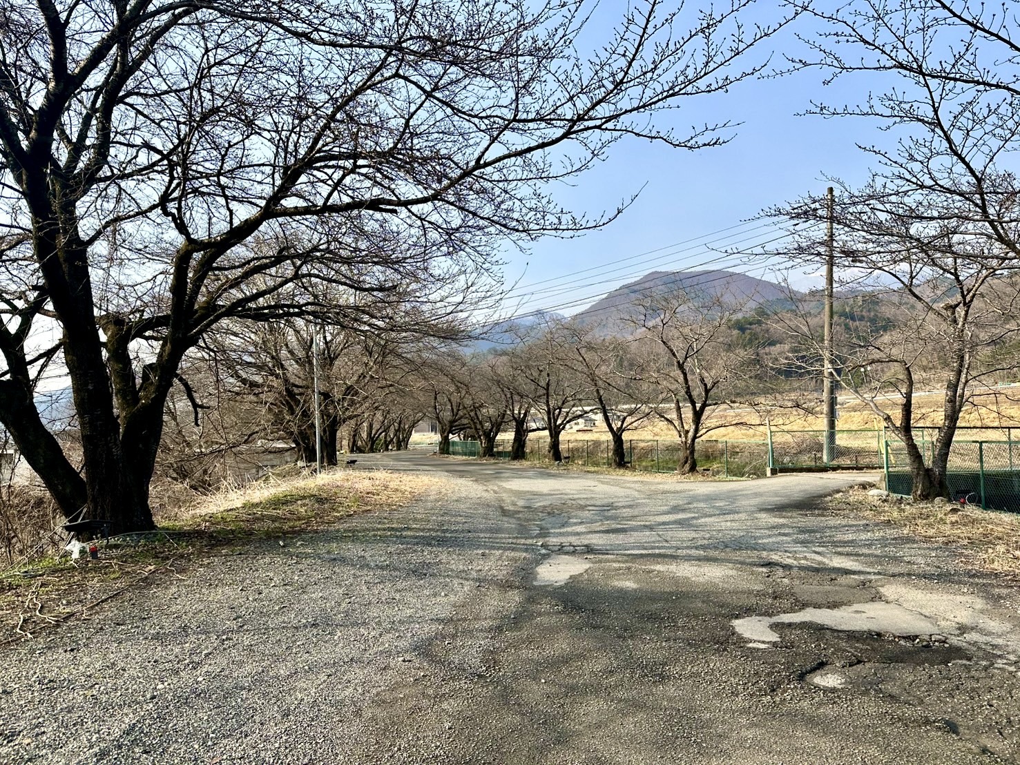 250325徳島堰