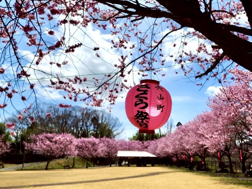 250328穴山さくら公園