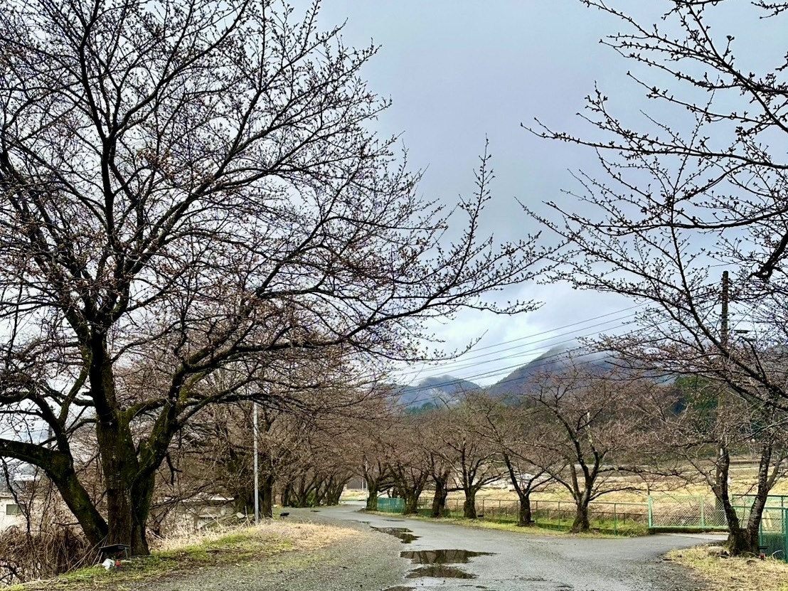 250328徳島堰