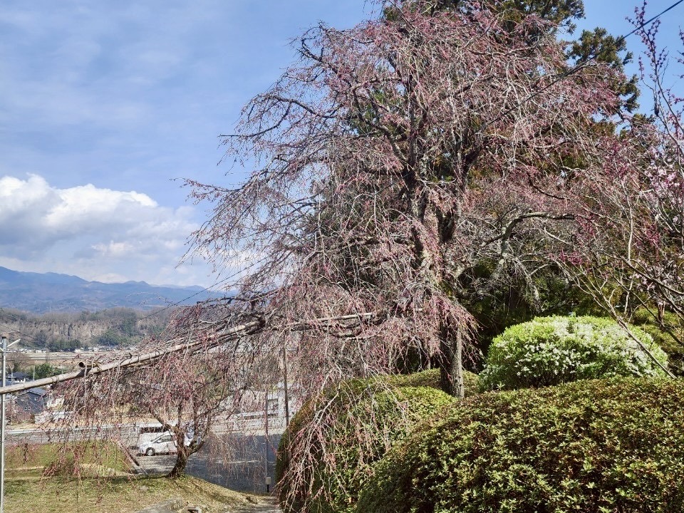 250330常光寺