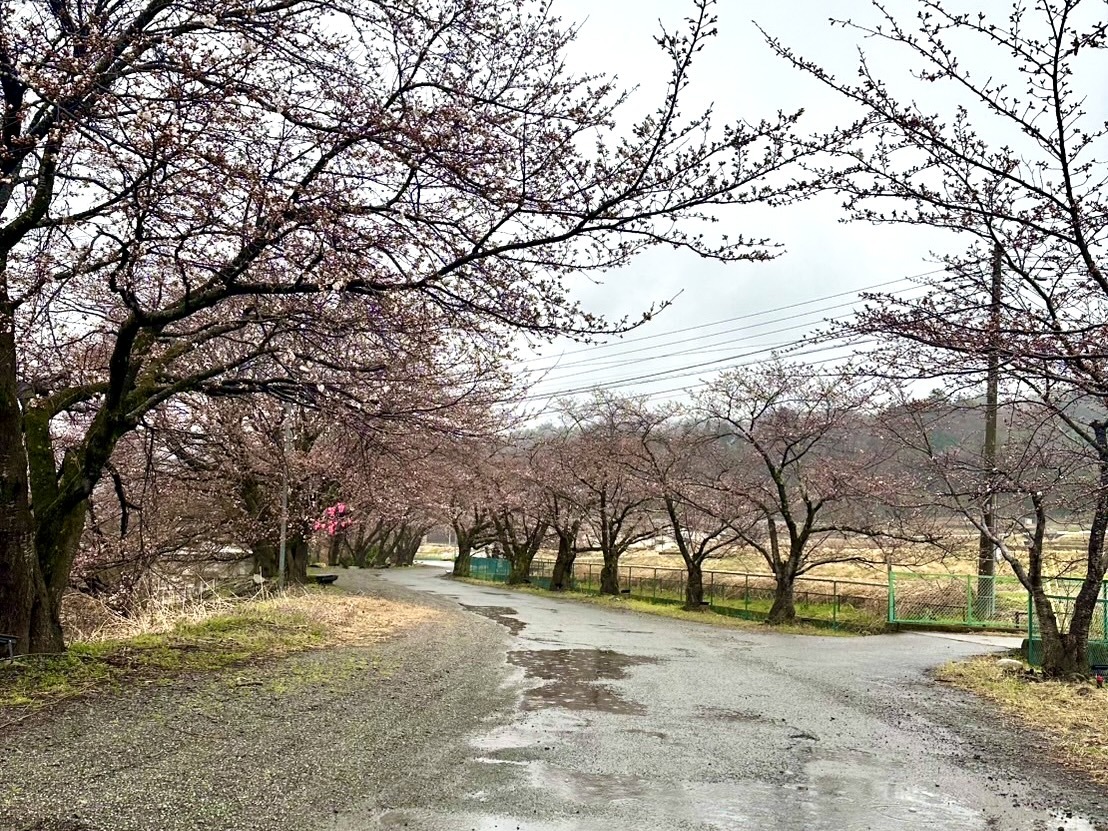 250401徳島堰