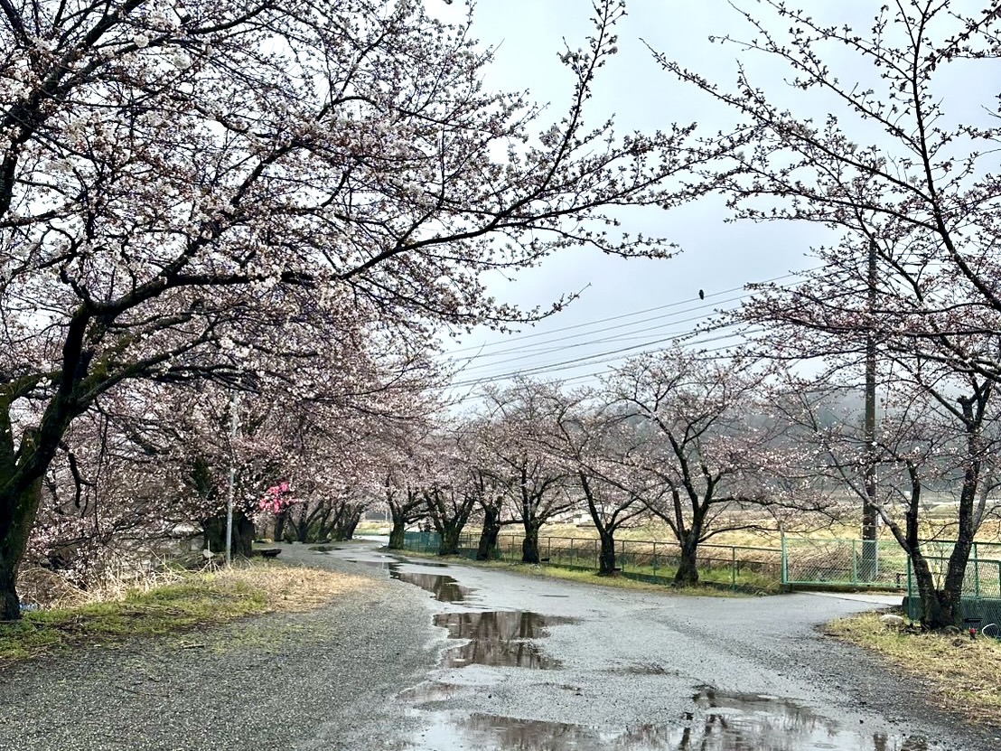 250403徳島堰