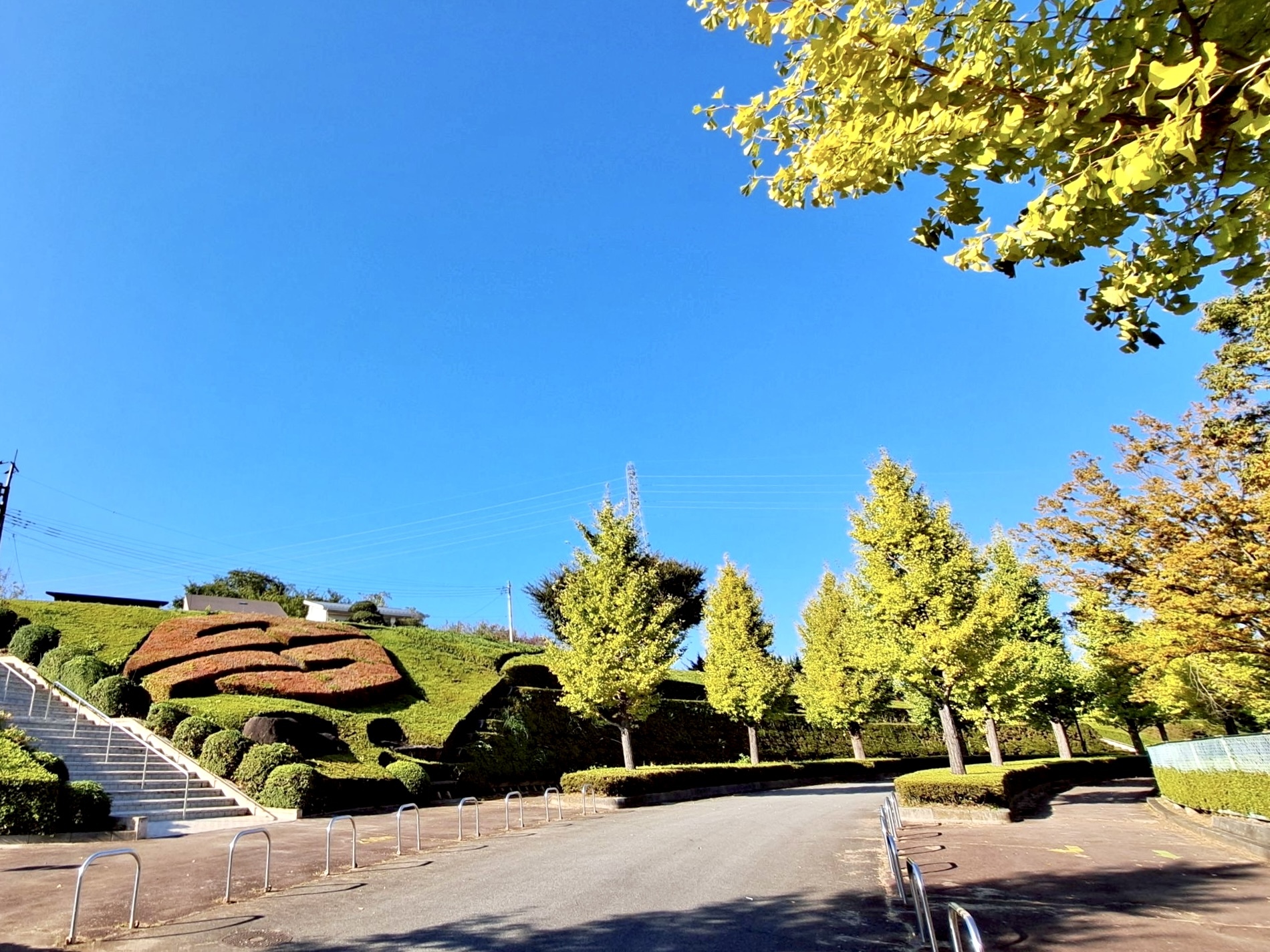 251030韮崎中央公園