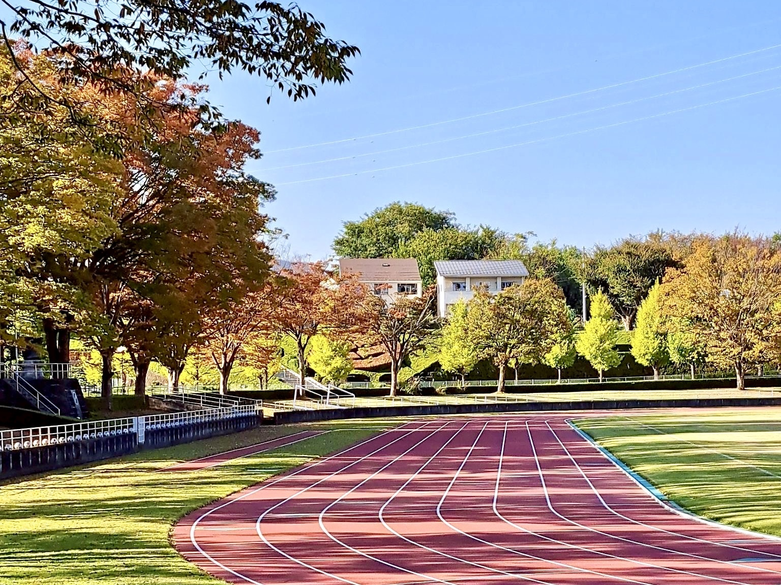 251030韮崎中央公園