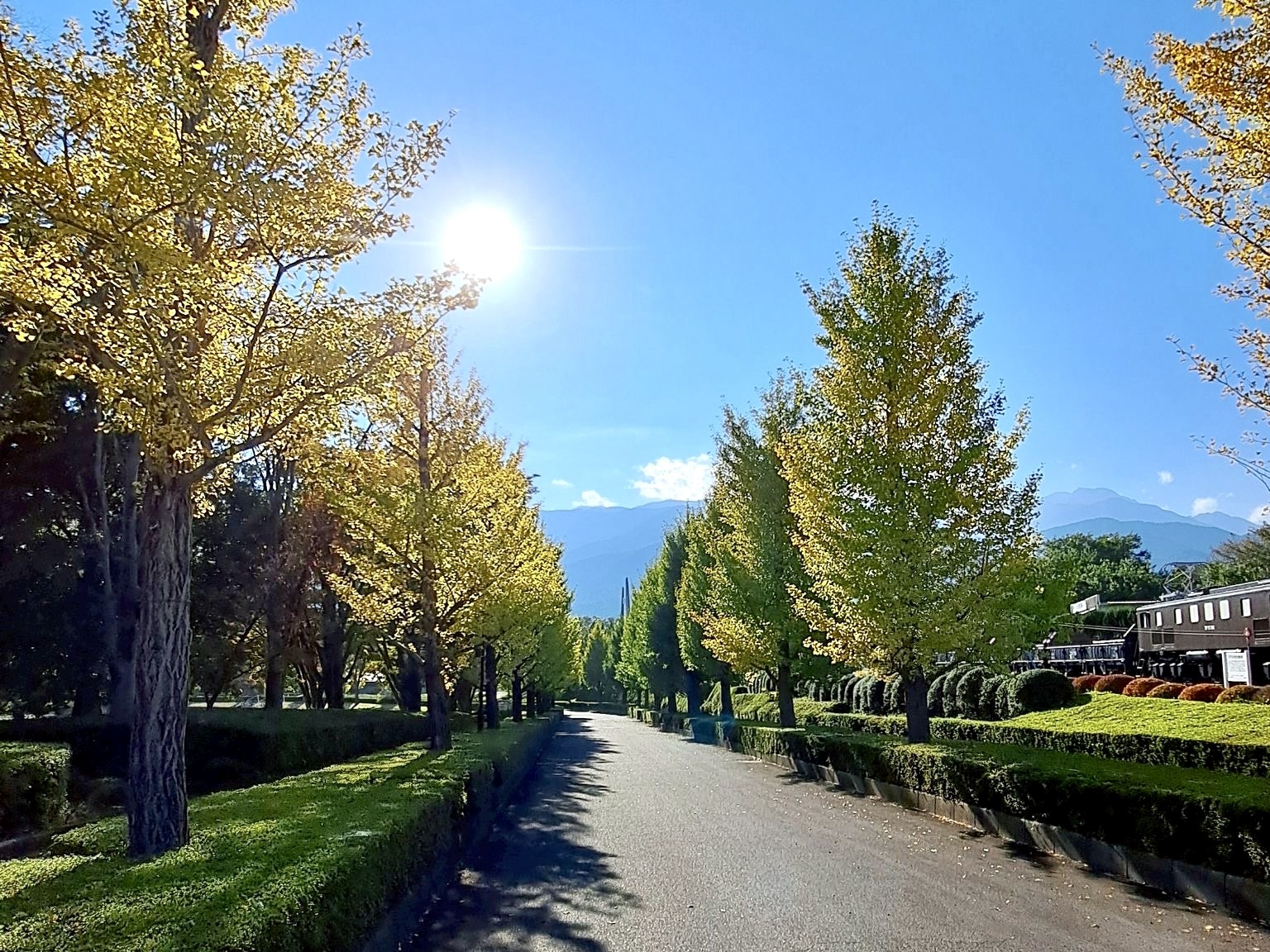 251030韮崎中央公園