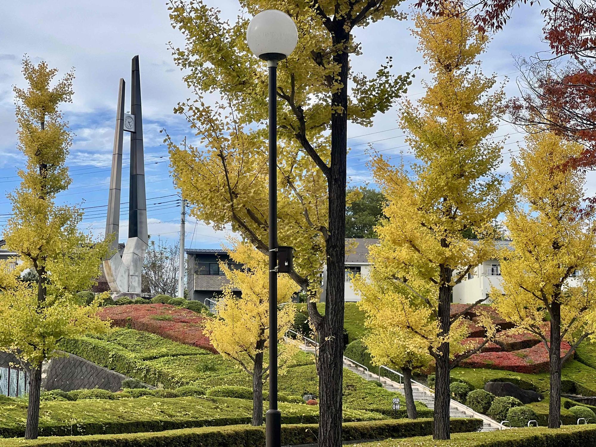 251106韮崎中央公園